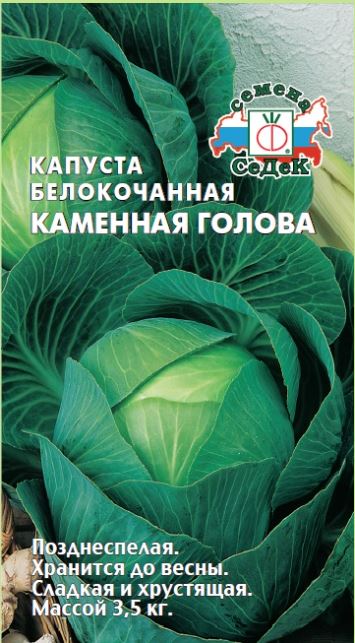 Капуста Каменная  голова (Б/К)