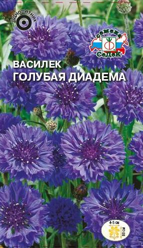 Цветок Василек Голубая Диадема