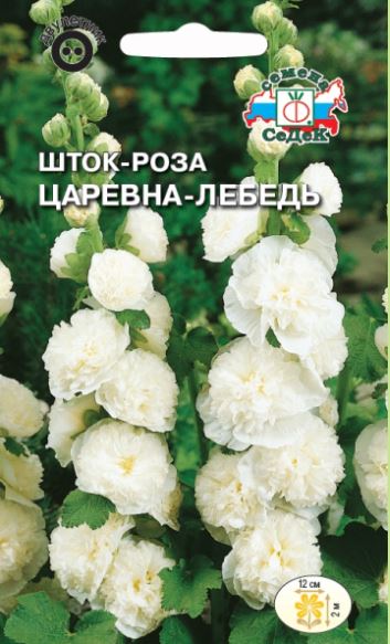 Цветок Шток-роза Царевна-лебедь