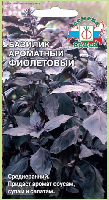 Базилик Фиолетовый СеДеК 