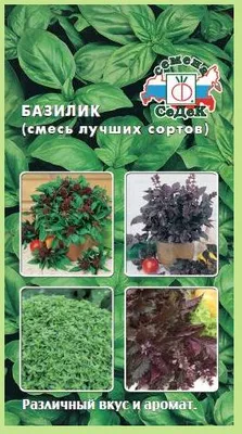 Базилик Смесь лучших сортов СеДеК 