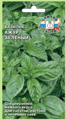 Базилик Ажур Зеленый СеДеК 