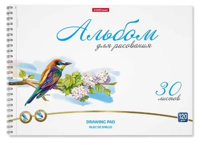 Альбом для рисования на спирали ErichKrause Birds, А4, 30л