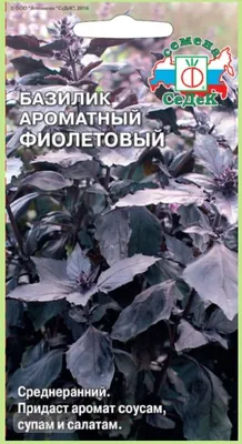 Базилик Фиолетовый СеДеК 